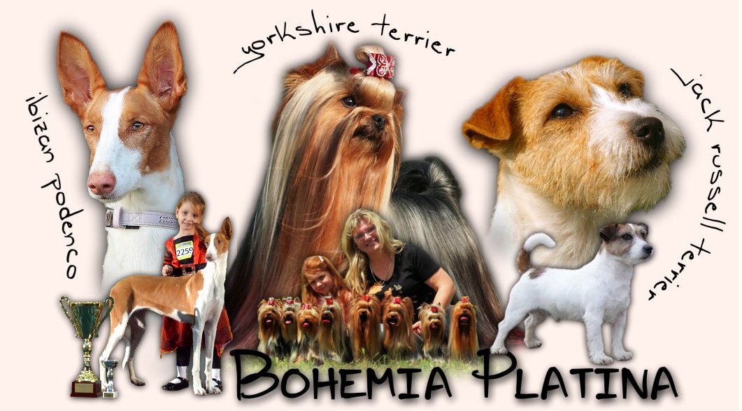 Bohemia Platina